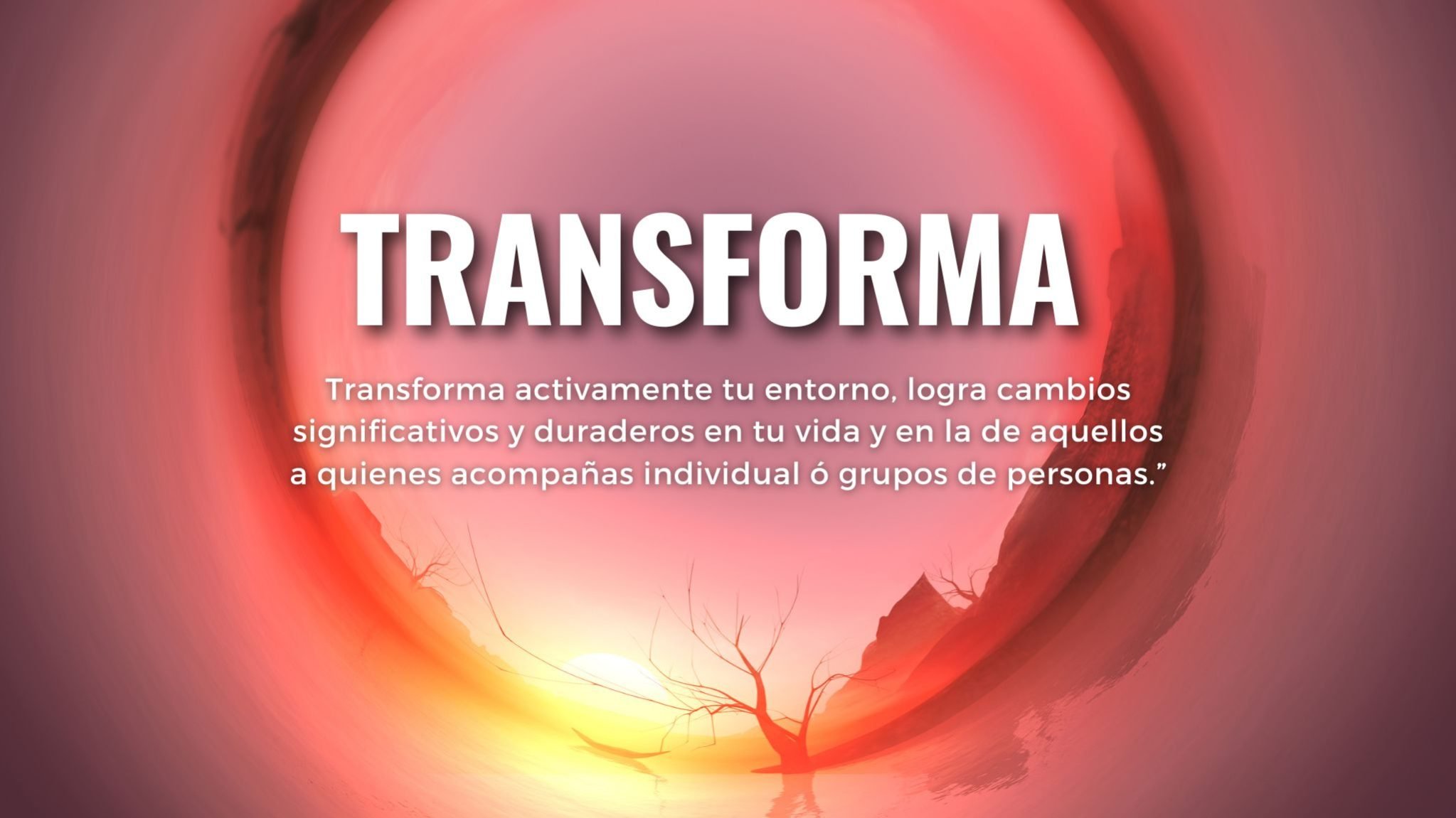 curso-de-constelaciones-familiares-online-lilibeth-carrasco-sesiones 23